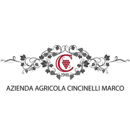 Cincinelli Marco